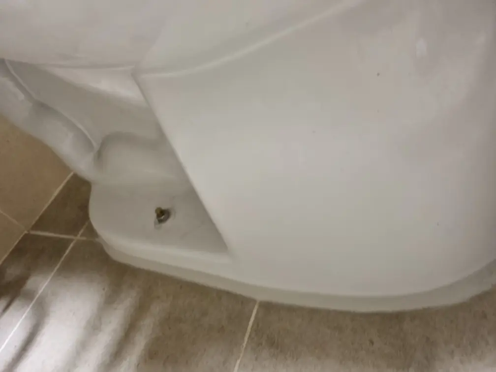 ?? ????