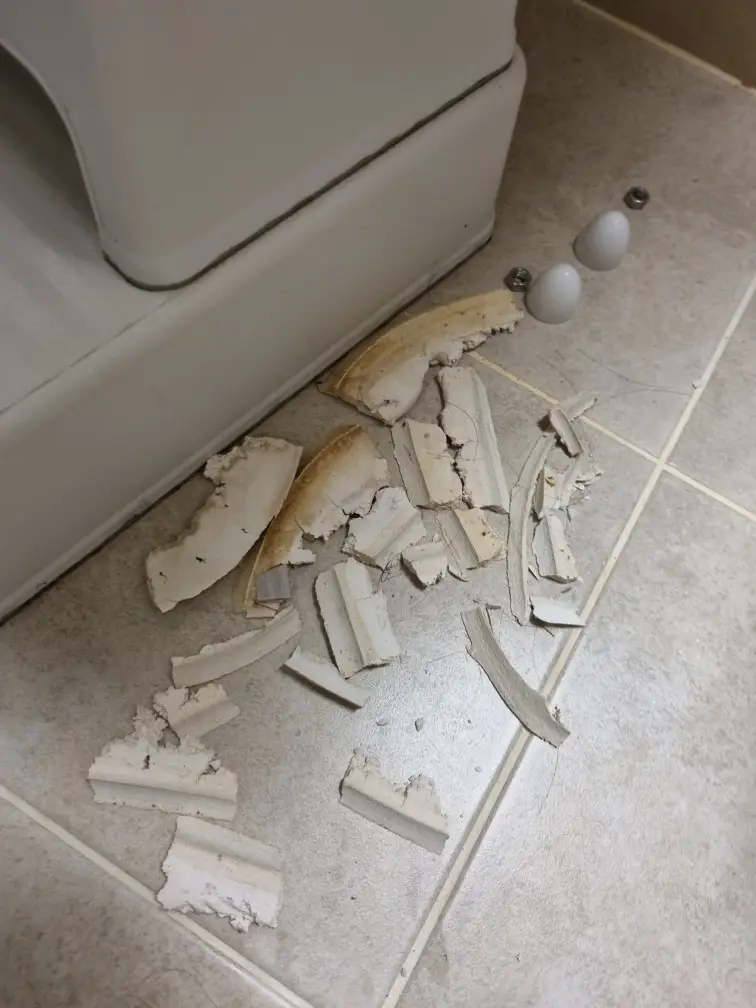 ?? ????
