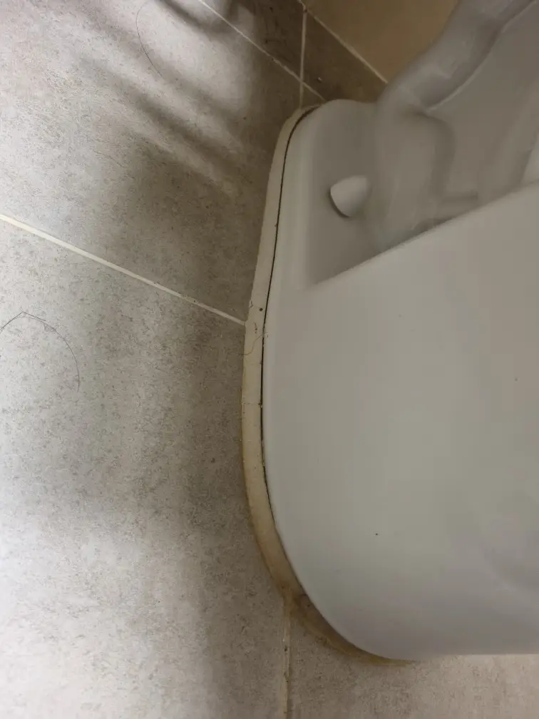 ?? ????